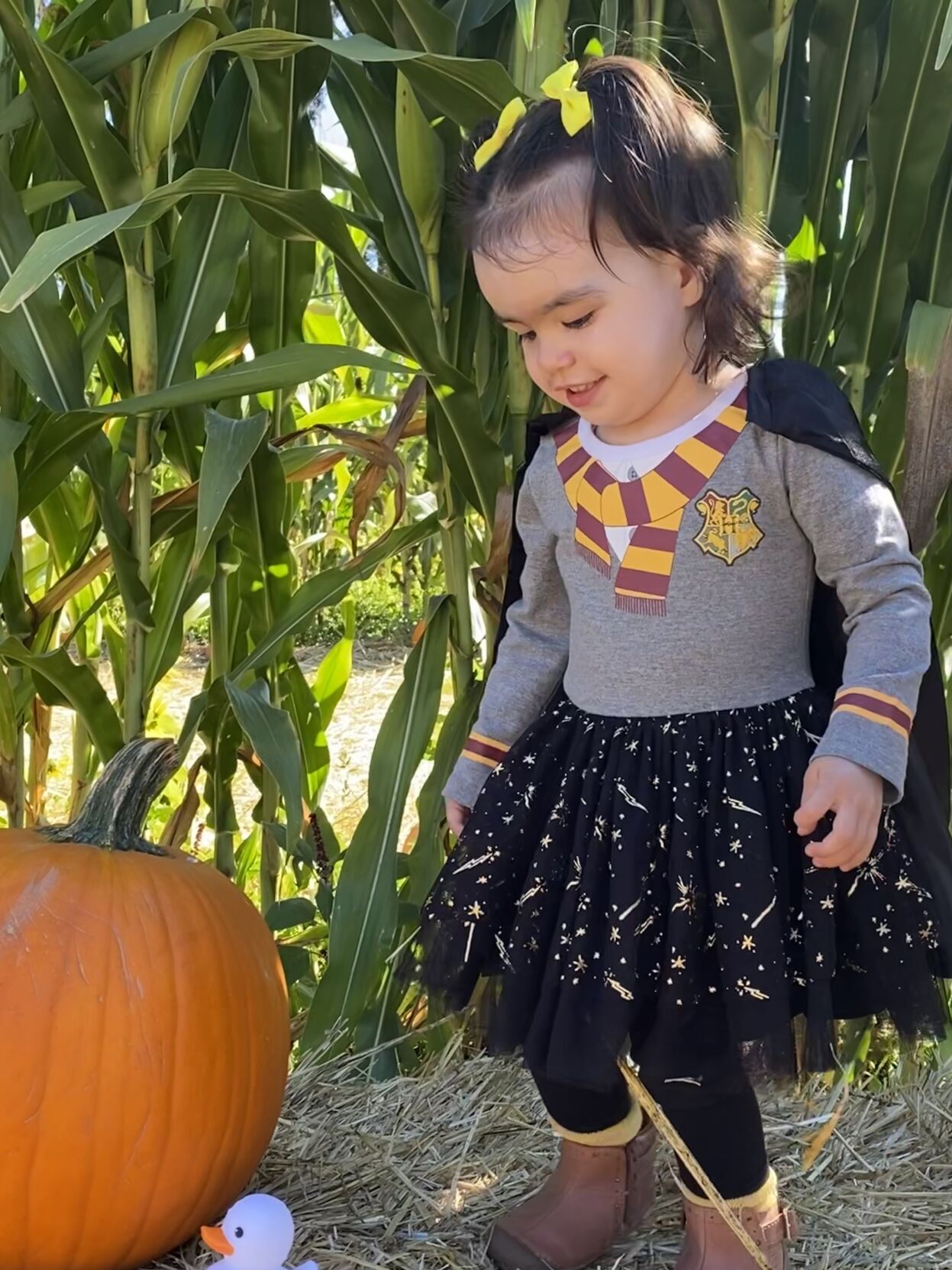 Picking Pumpkins 2022